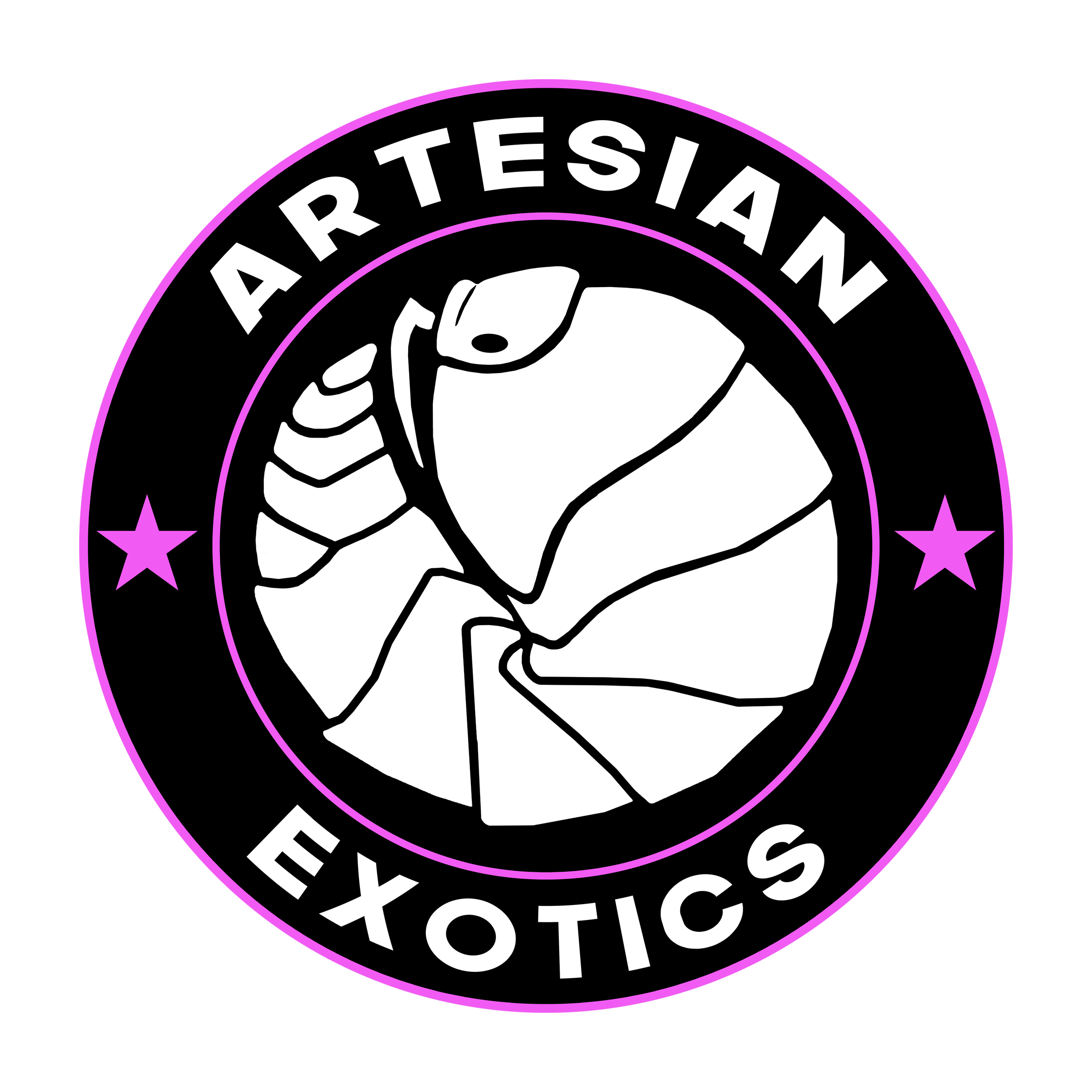 Isopods | Artesian Exotics